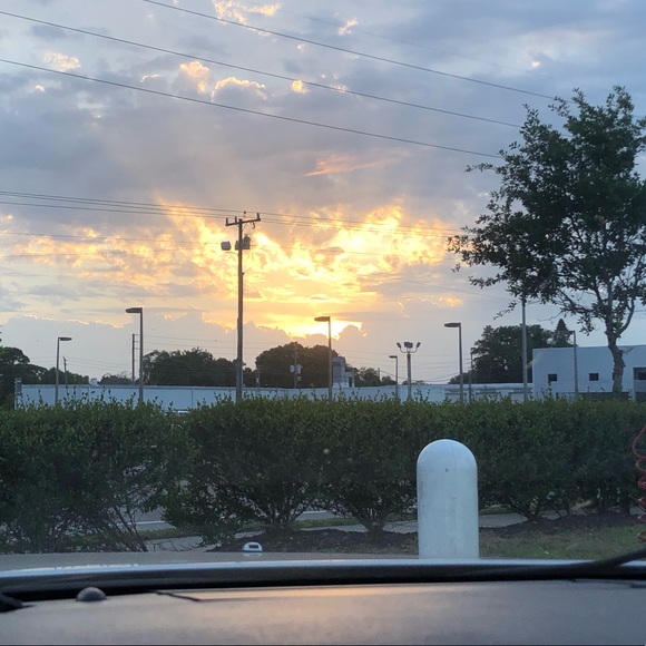 Meet your Posher, Chase - Picture 8 of 8